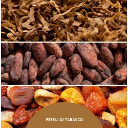 Millefiori Milano Uzupełniacz do pałeczek Petali  Di Tabacco 250ml